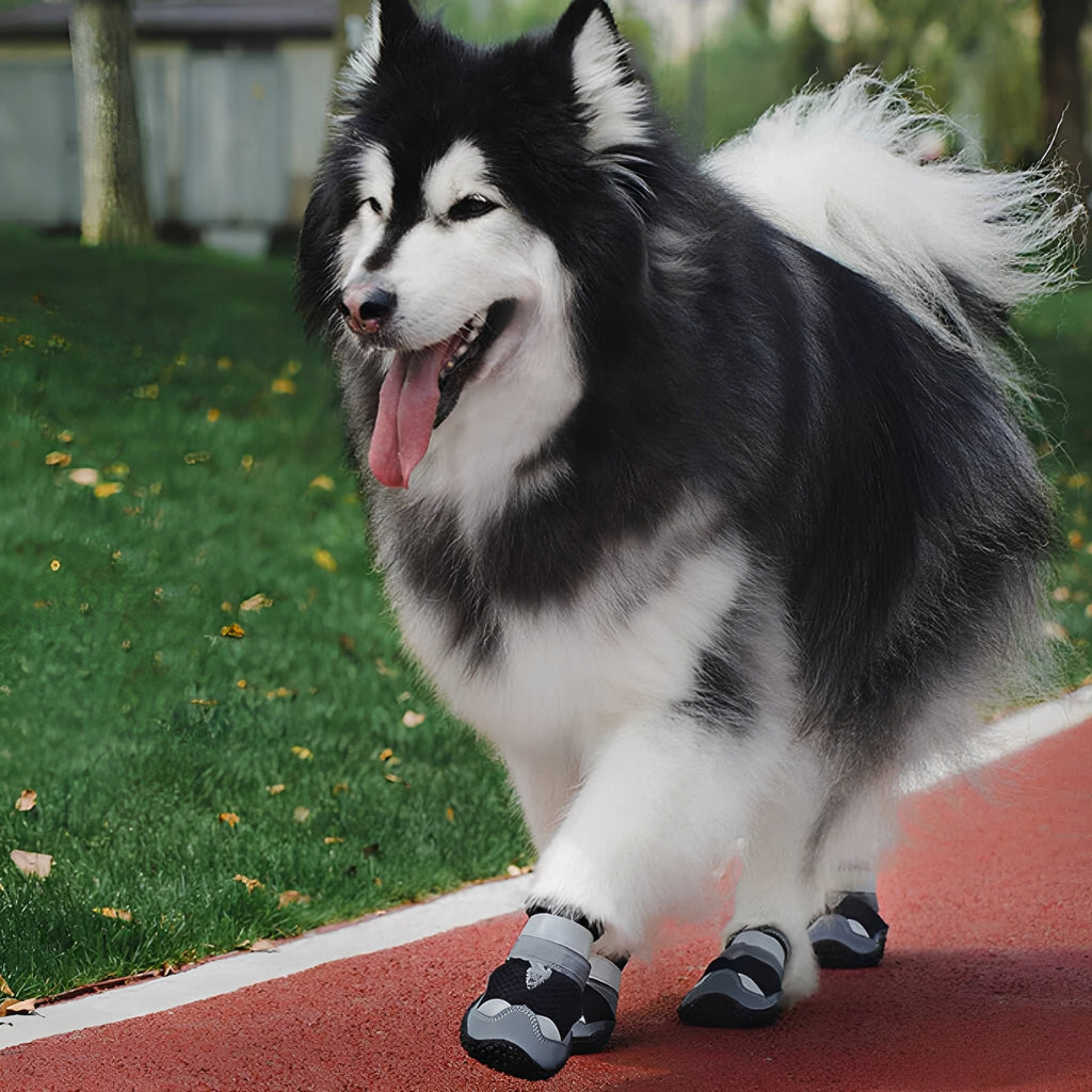 TrailPaws - Beschermende Antislip Hondenschoenen