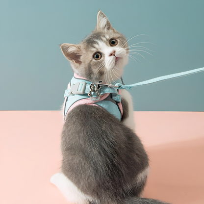 Catventure -  Verstelbaar Veiligheidstuigje Kat
