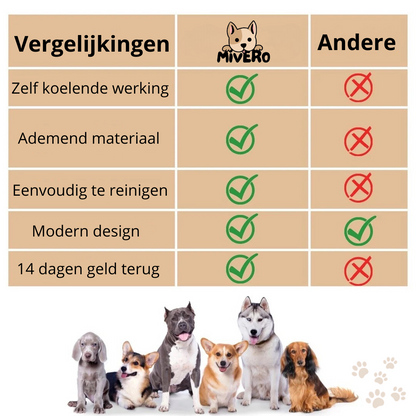 CoolPaw - Bescherm je hond tegen oververhitting!