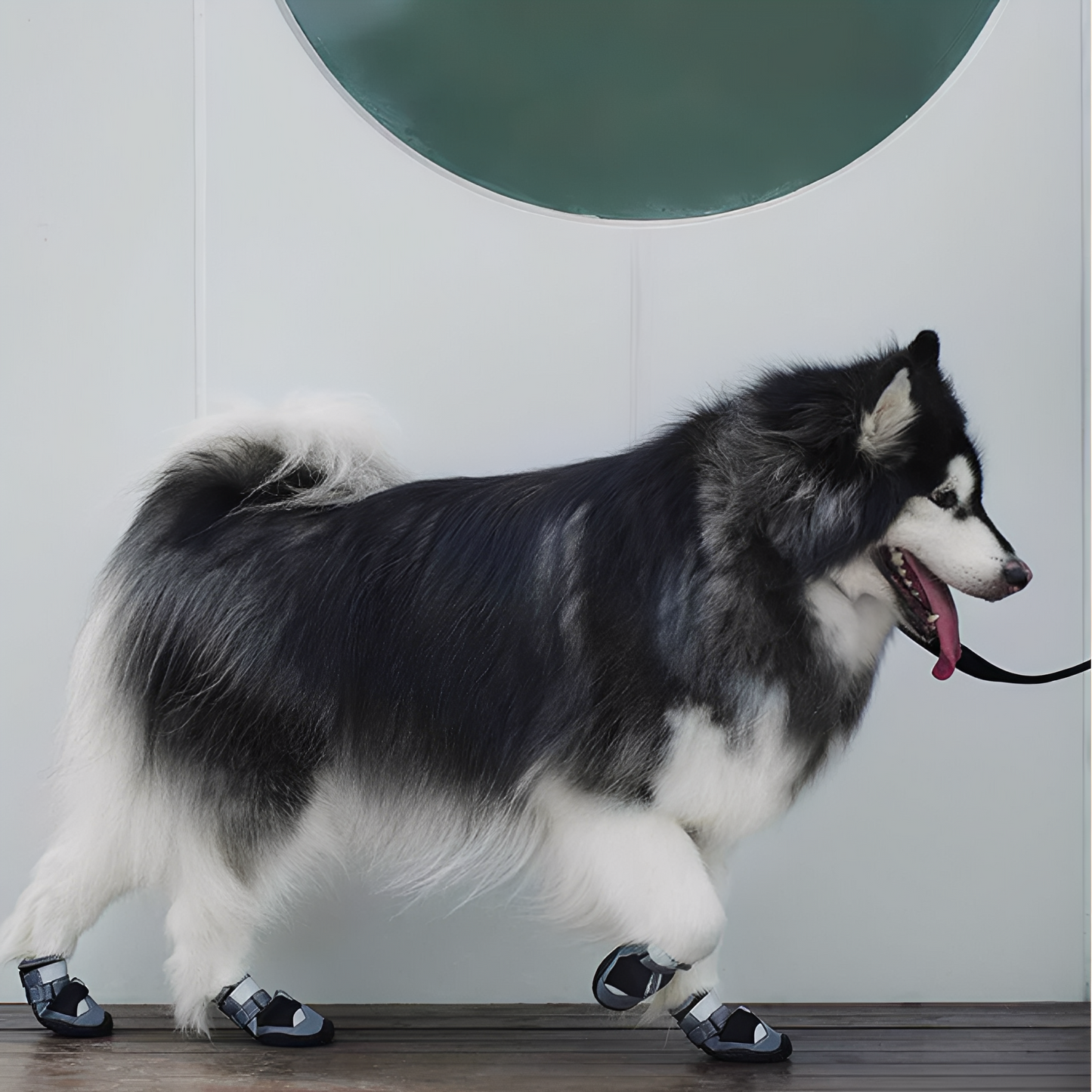 TrailPaws - Beschermende Antislip Hondenschoenen