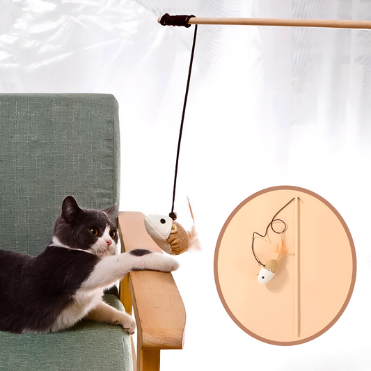Pawsnatch -  Linnen Interactieve Kattenhengel