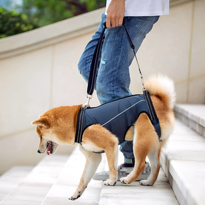 PawLift - Ondersteunend Tilharnas Hond
