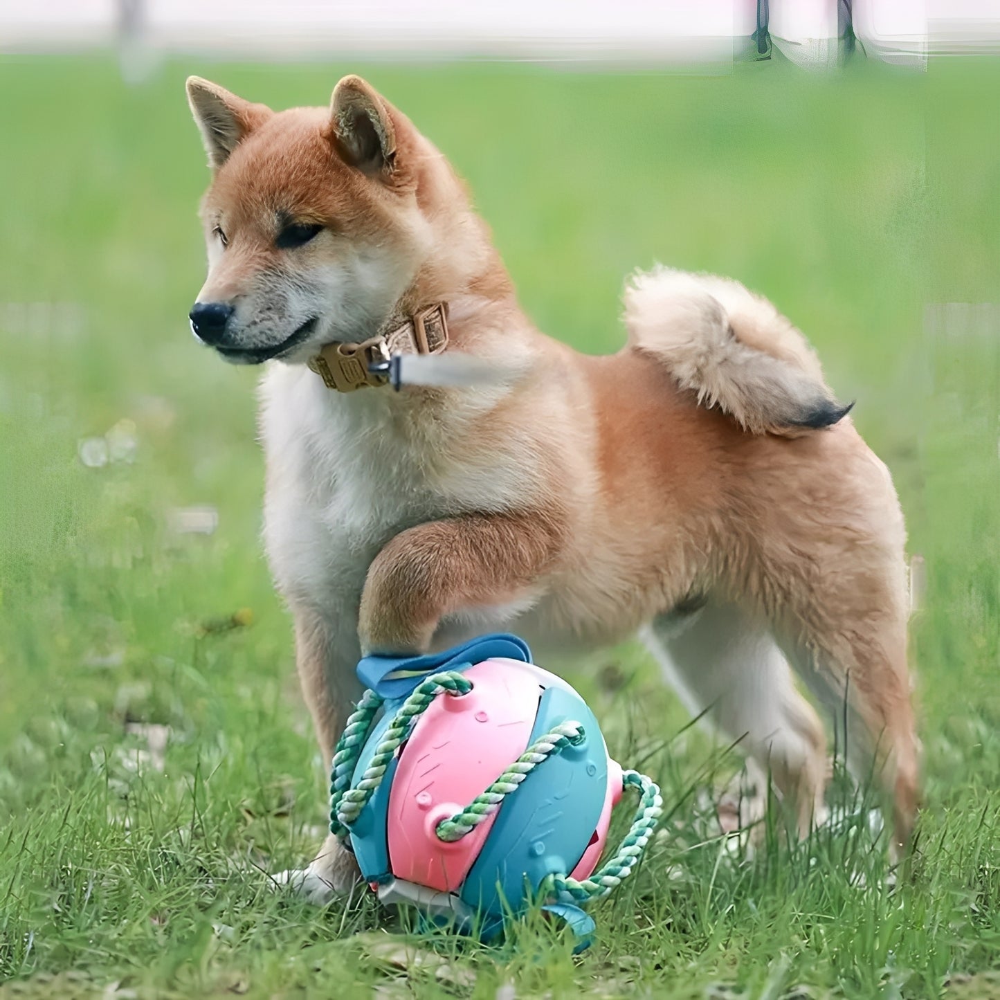TugBall - Interactieve Tugbal Hond