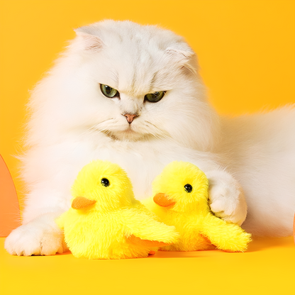 Ducksy - Touchgeactiveerde Bewegende Kattenspeelgoed