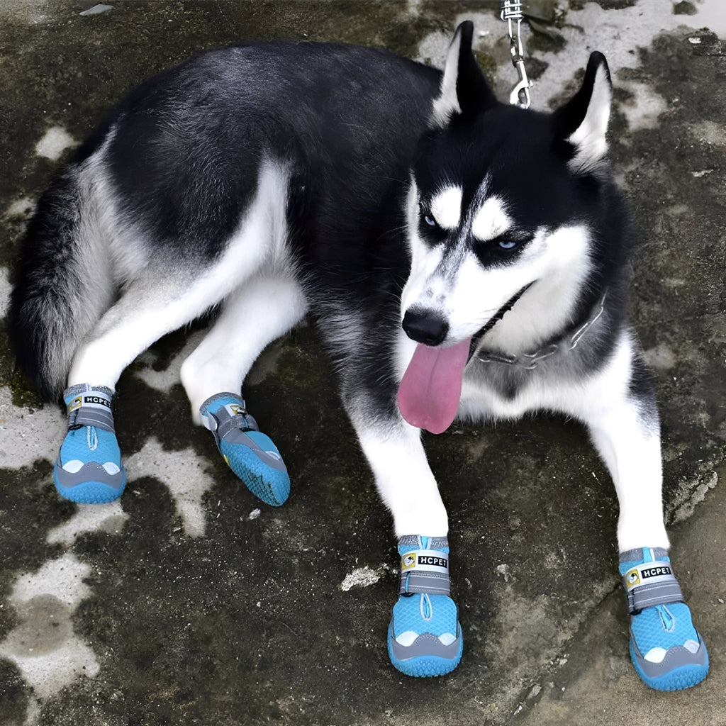 TrailPaws - Beschermende Antislip Hondenschoenen