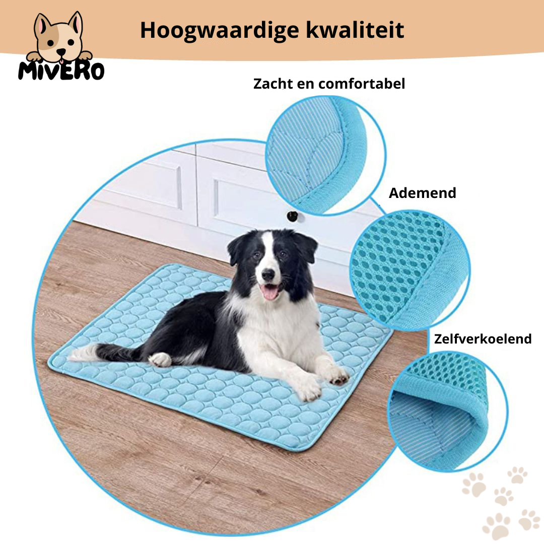 CoolPaw - Bescherm je hond tegen oververhitting!