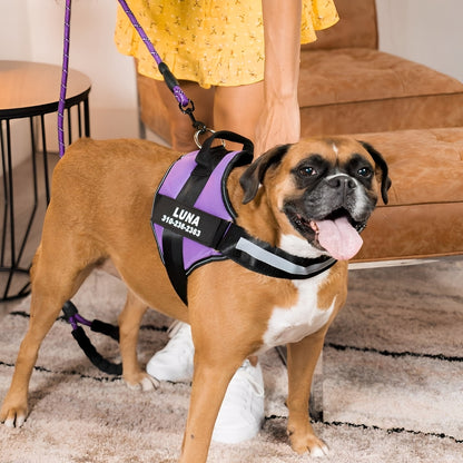 PawGuard - Gepersonaliseerd Hondentuigje