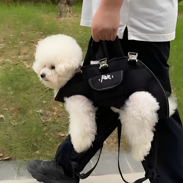 CarryBuddy - Handsfree Ergonomische Draagtas