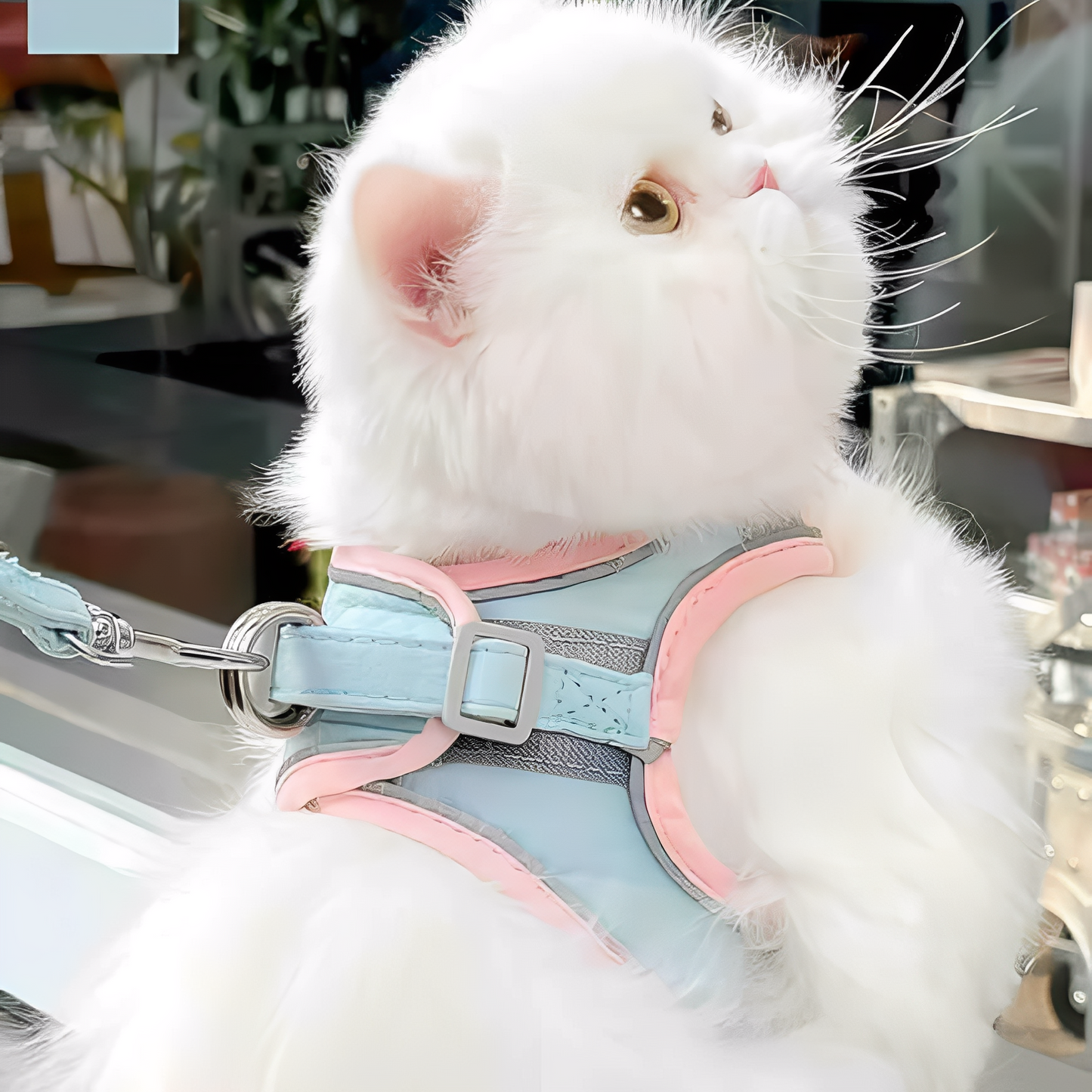 Catventure -  Verstelbaar Veiligheidstuigje Kat