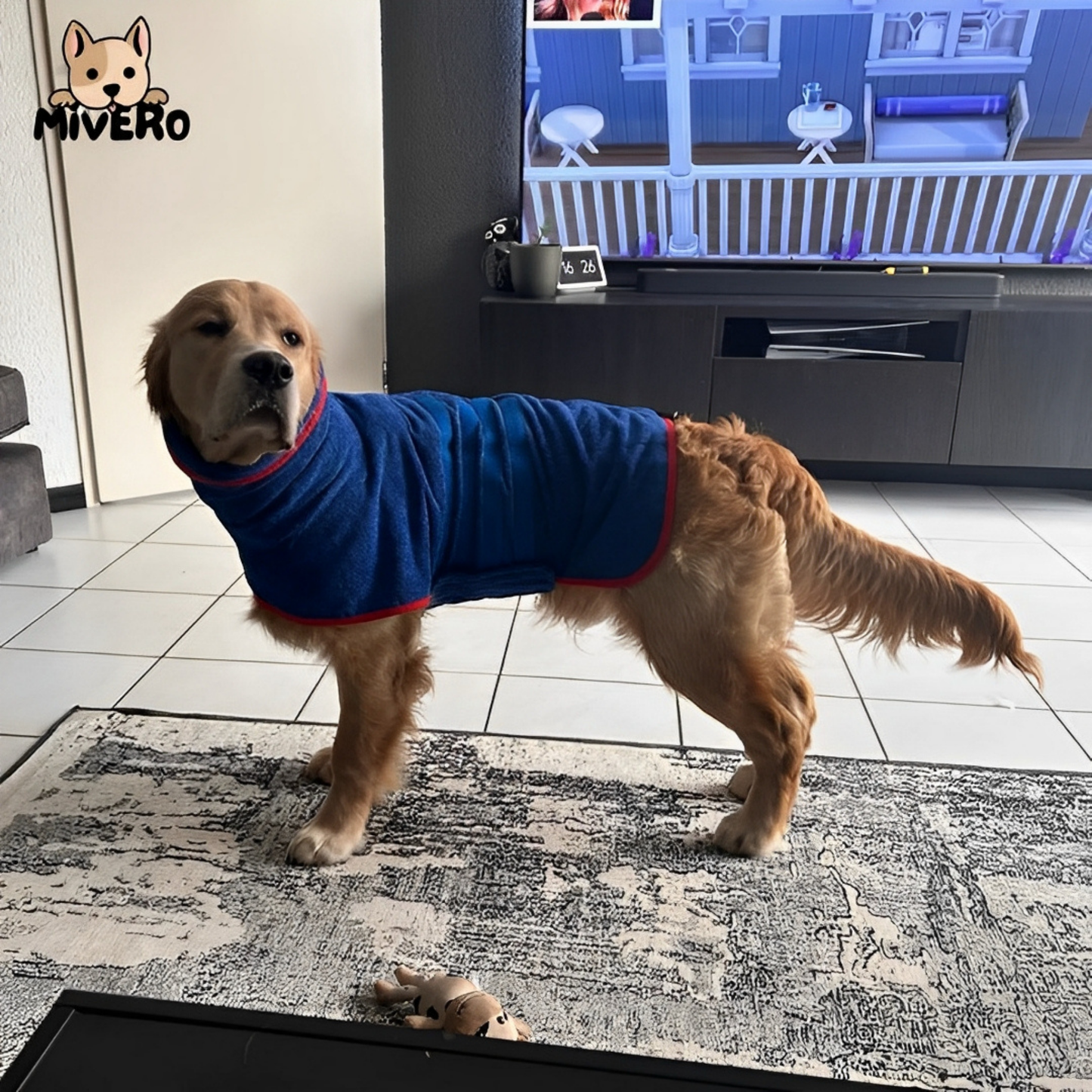 SnugDry - Houd je hond warm en droog