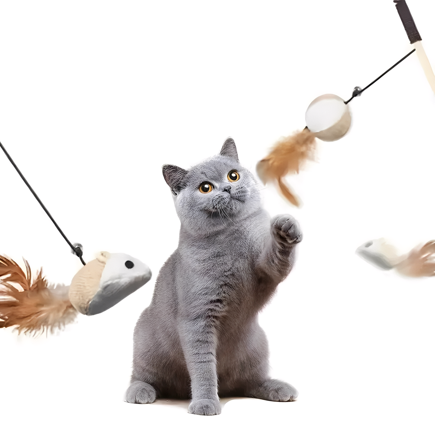 Pawsnatch -  Linnen Interactieve Kattenhengel