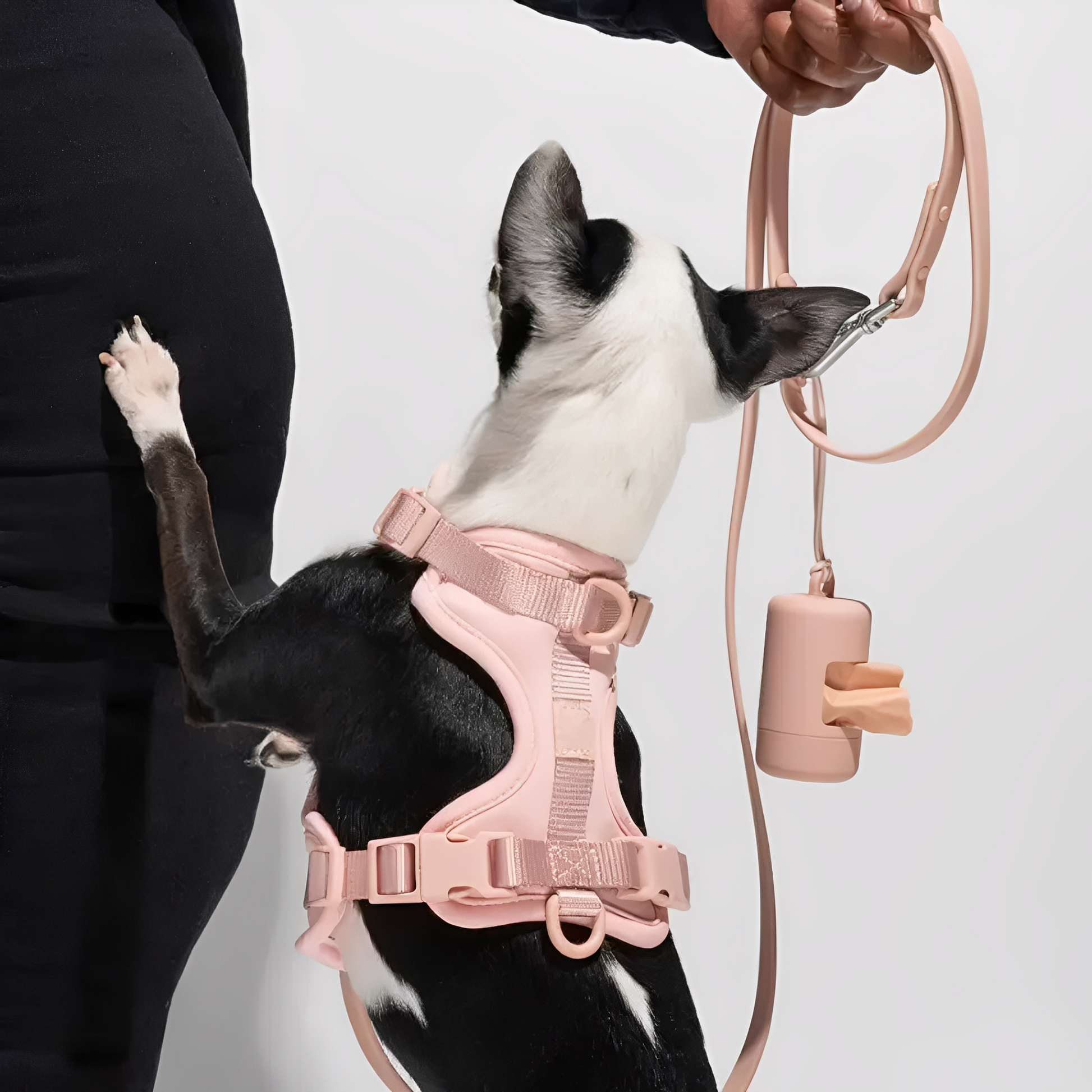 TidyTail - Handsfree Poepzakjeshouder Hondenriem