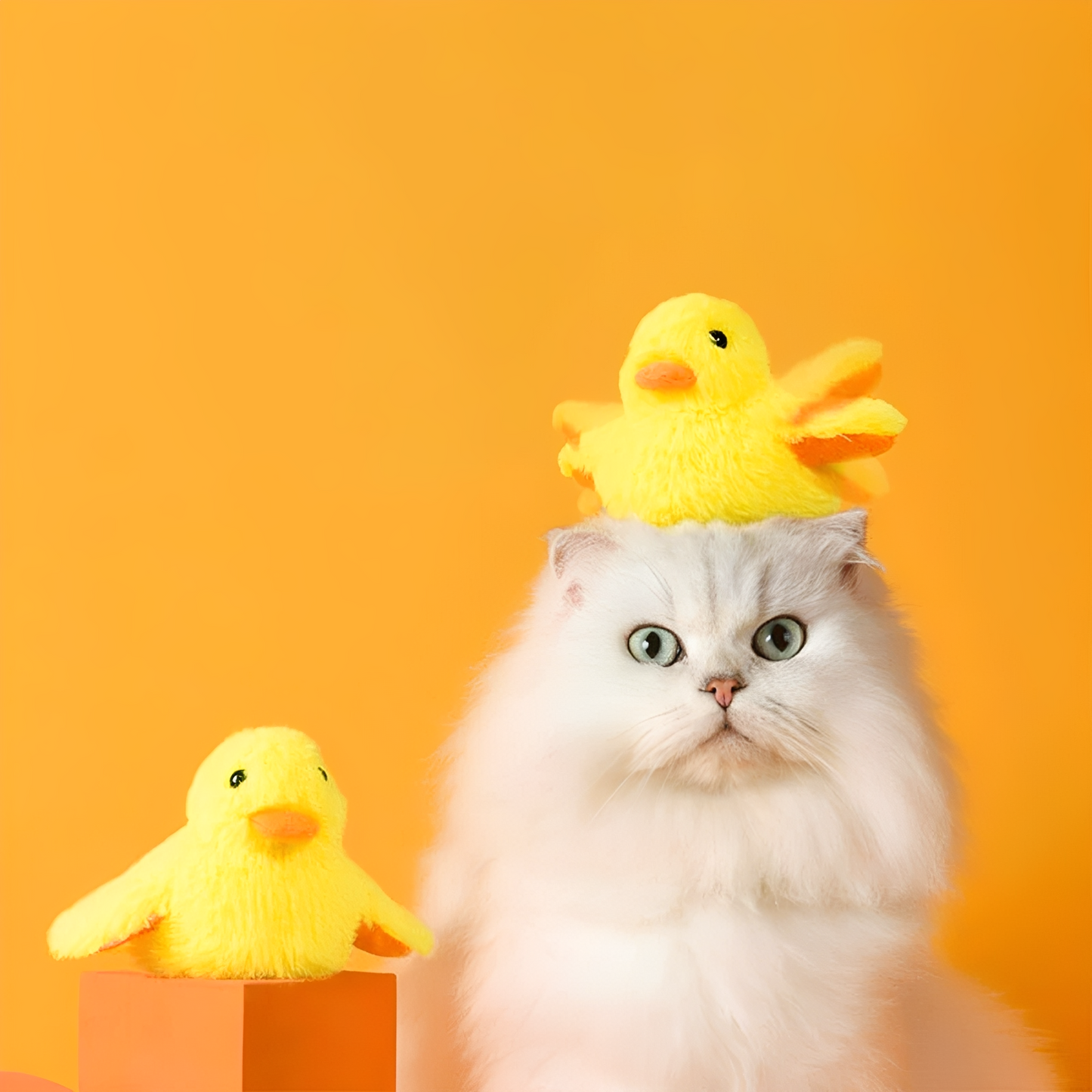 Ducksy - Touchgeactiveerde Bewegende Kattenspeelgoed