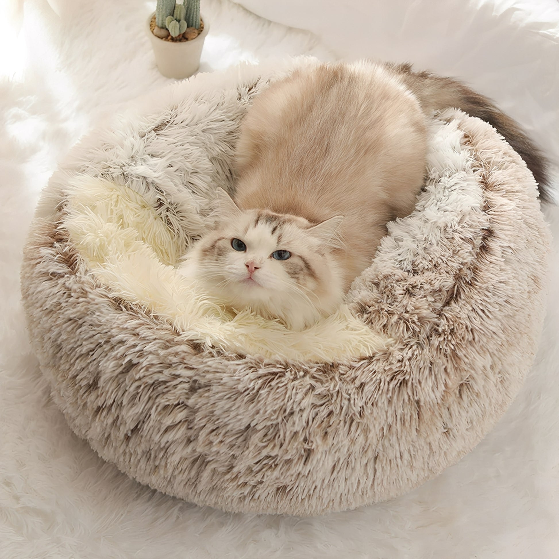 CozyCave - Holvormig Hypoallergeen Huisdierenbed