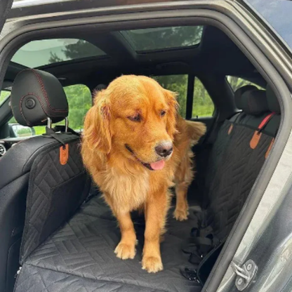 PawPad - Creëert de ruimte die je hond nodig heeft!