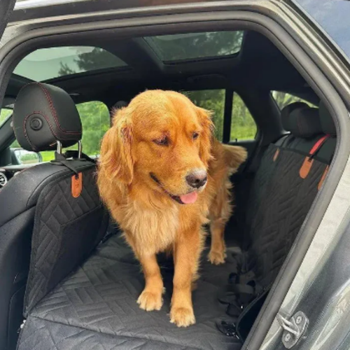 PawPad - Creëert de ruimte die je hond nodig heeft!