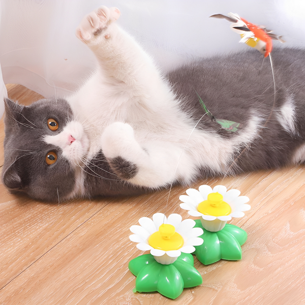 CatCho -  Interactief Bewegend Kattenspeeltje