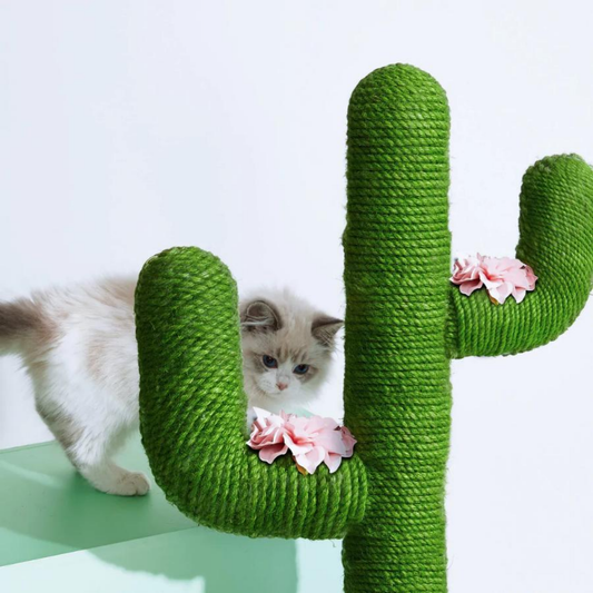 Cactopia - Speels Cactusvormig Krabmeubel
