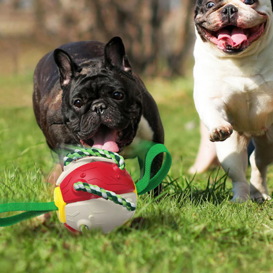 TugBall - Interactieve Tugbal Hond