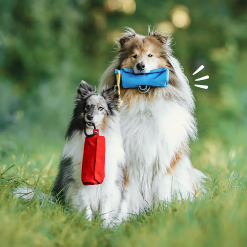 SnakTra - Voerbare Trainingsdummy Hond