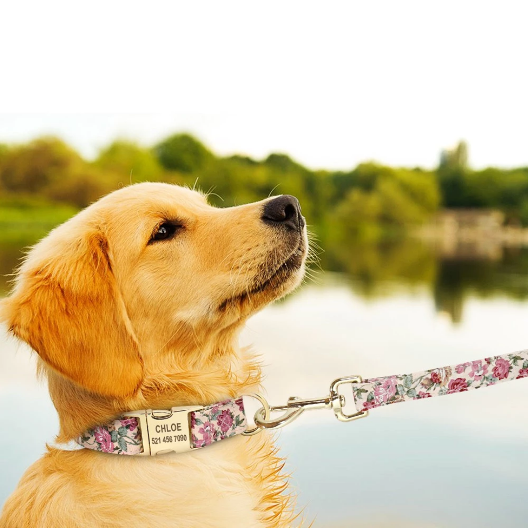Pawdentify - Gegraveerde Nylon Hondenhalsband
