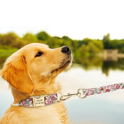 Pawdentify - Gegraveerde Nylon Hondenhalsband