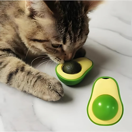 Kittycado -  Natuurlijke Kalmerende Kauwspeeltje