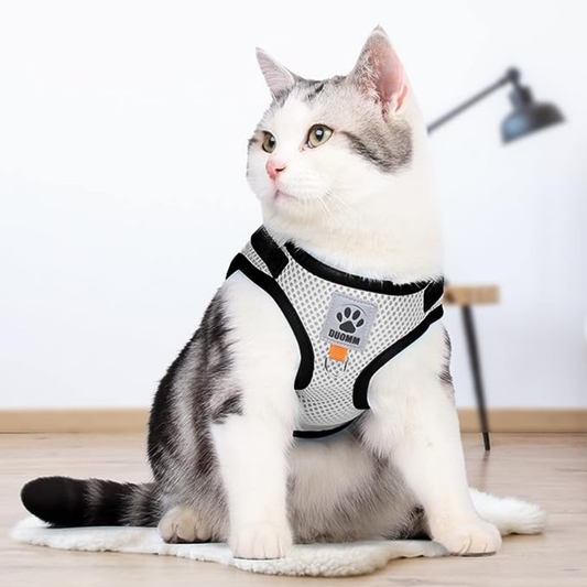 SnugFit - Ontsnappingsveilig Reflecterend Kattentuig