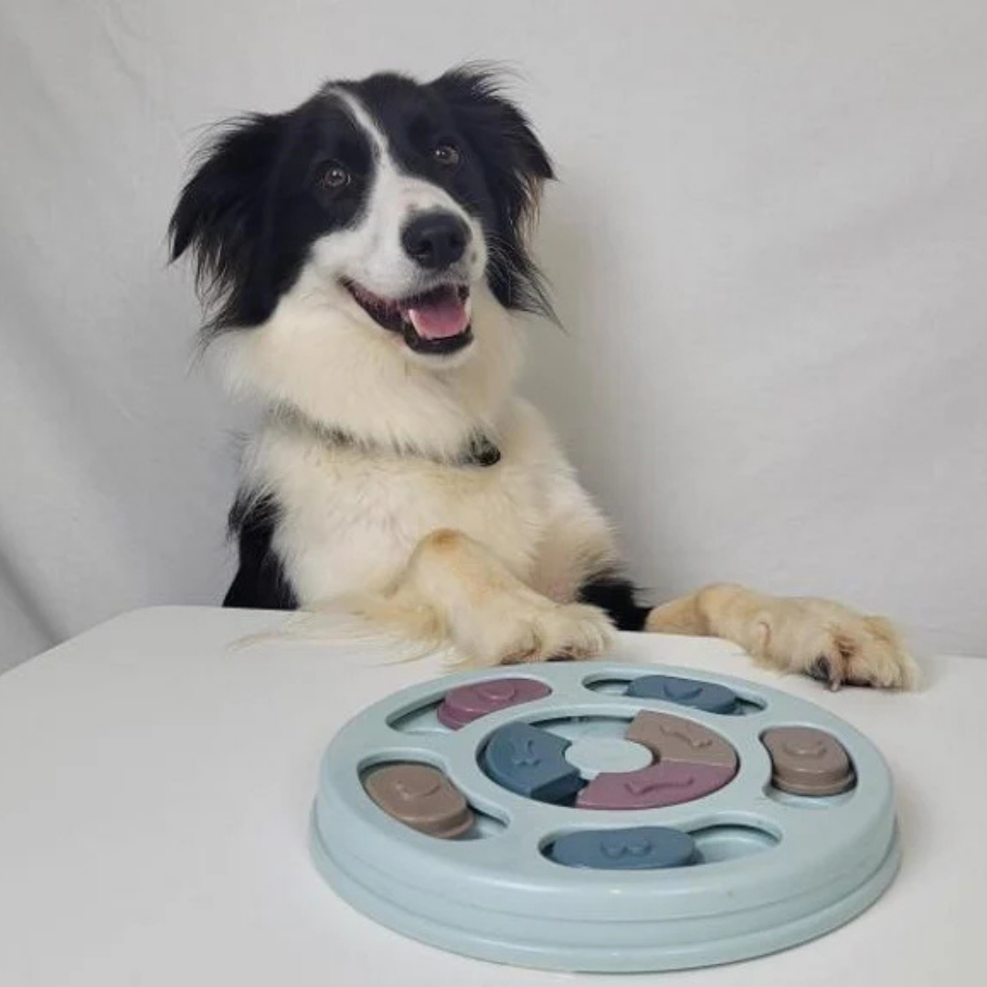 PuzzleWoef - Interactieve Snuffel Puzzel