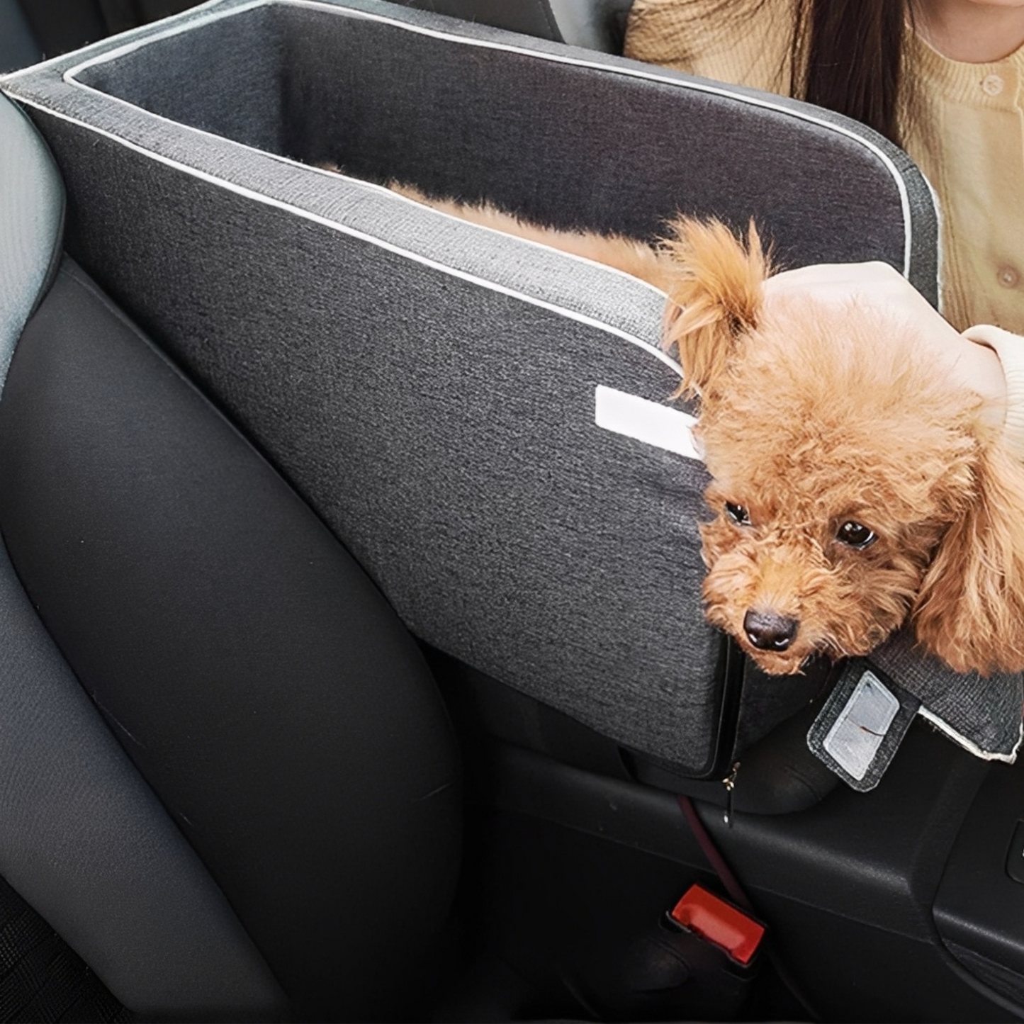 WoofWagon - Neem je hond veilig overal mee naar toe!