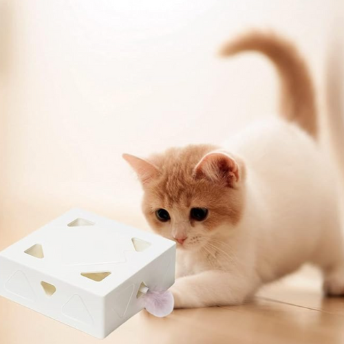 WhiskerBox -  Interactieve Puzzel Speelbox