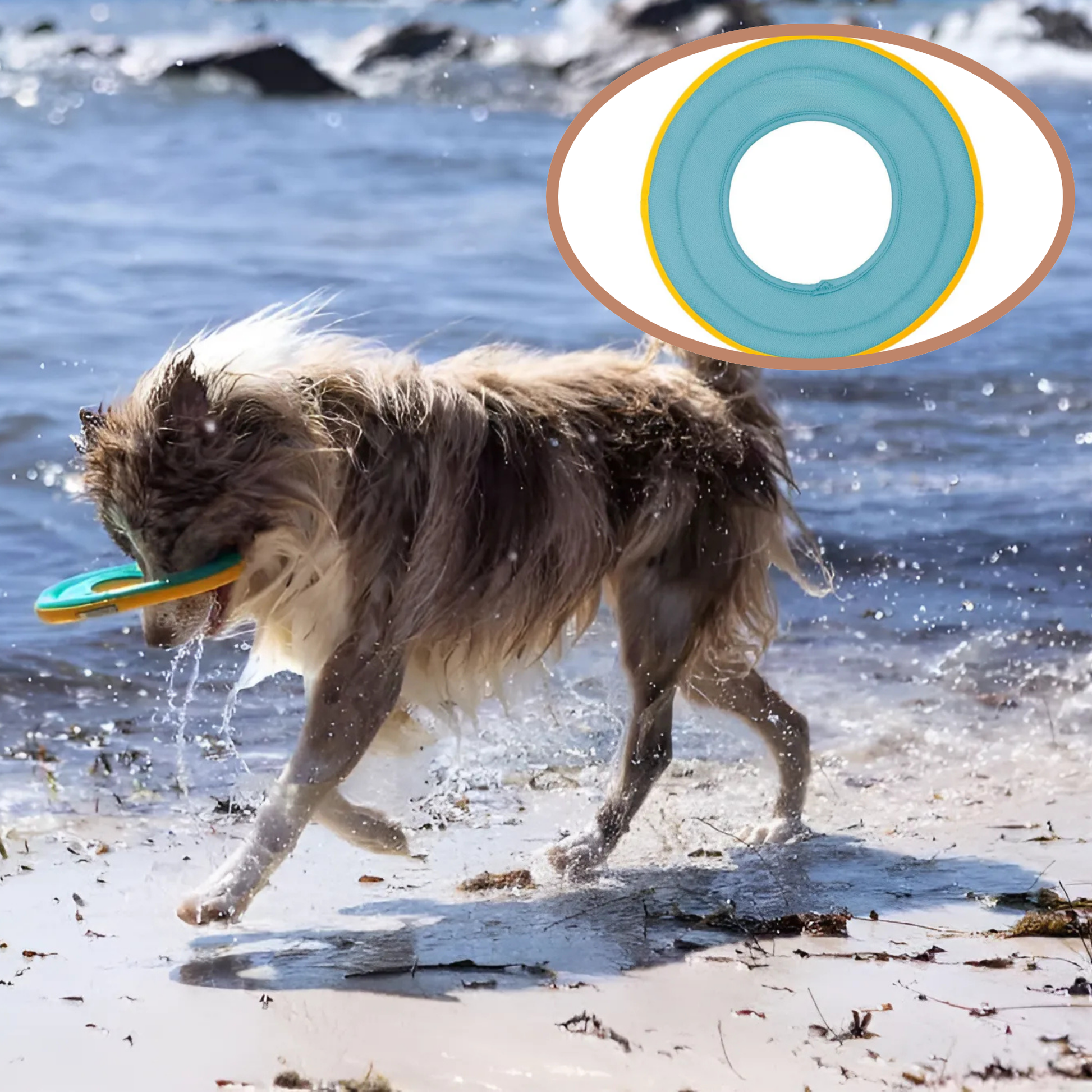 Aqualoft -  Drijvend Zacht Hondenspeeltje