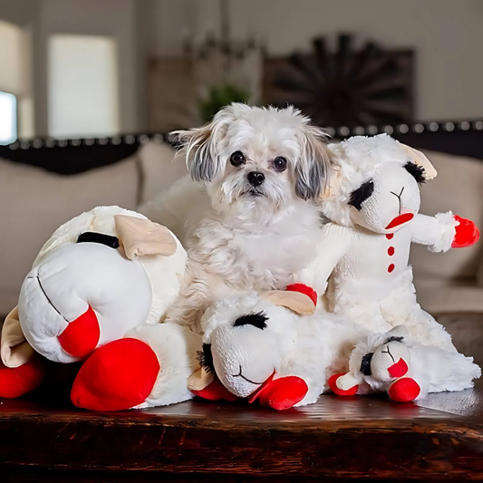 SnuggleSheep - Knuffelbaar Squeaky Hondenspeeltje