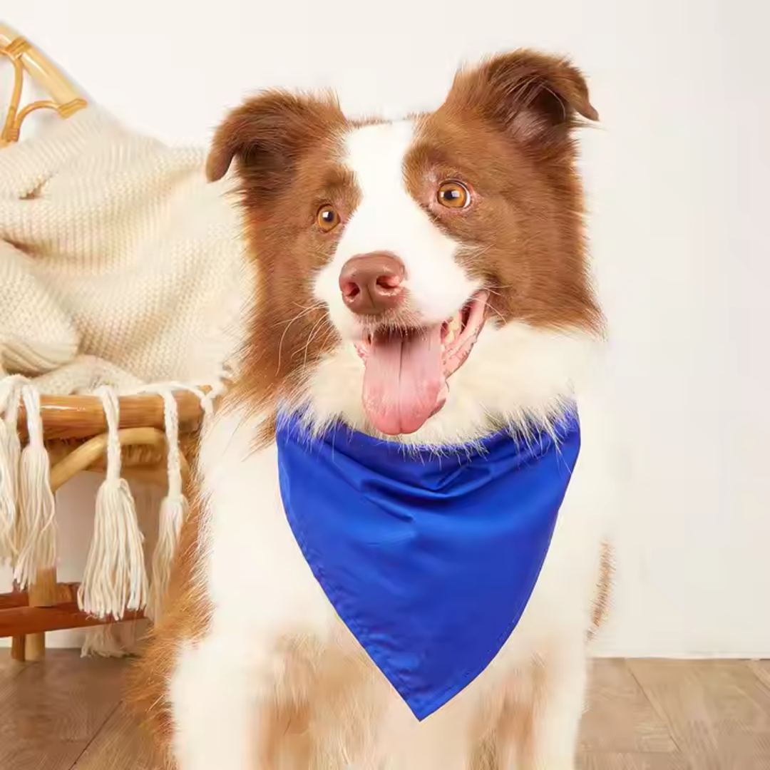 TailorTie - Zijdezachte Verstelbare Hondenbandana
