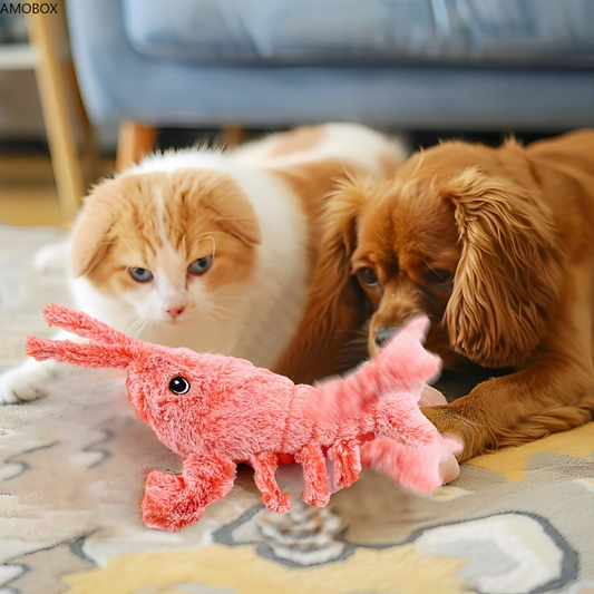 Lobby - De kreeft die je hond eindeloos vermaakt!