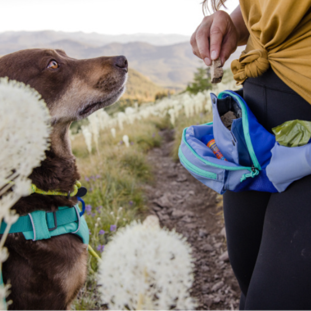 PoochPack -  Ergonomische Wandel Heuptas