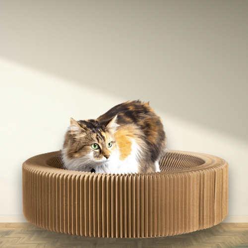 FoldNest - Opvouwbare Kartonnen Kattenlounge