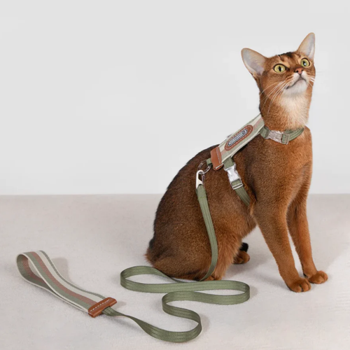 Meowalk - Reflecterend Ergonomisch Kattentuigje