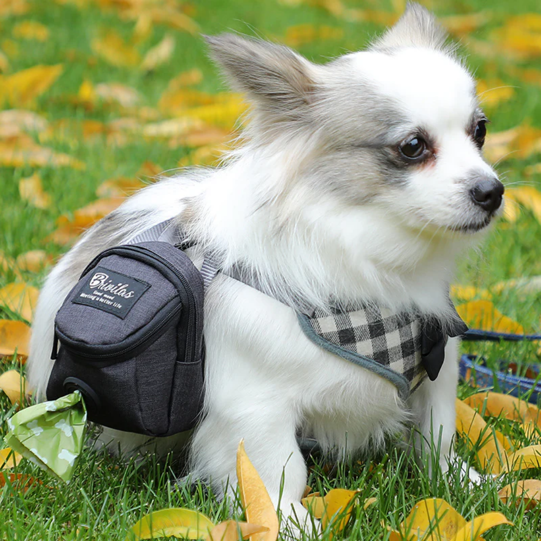 WagPak - Compact Multifunctionele Hondenpouch