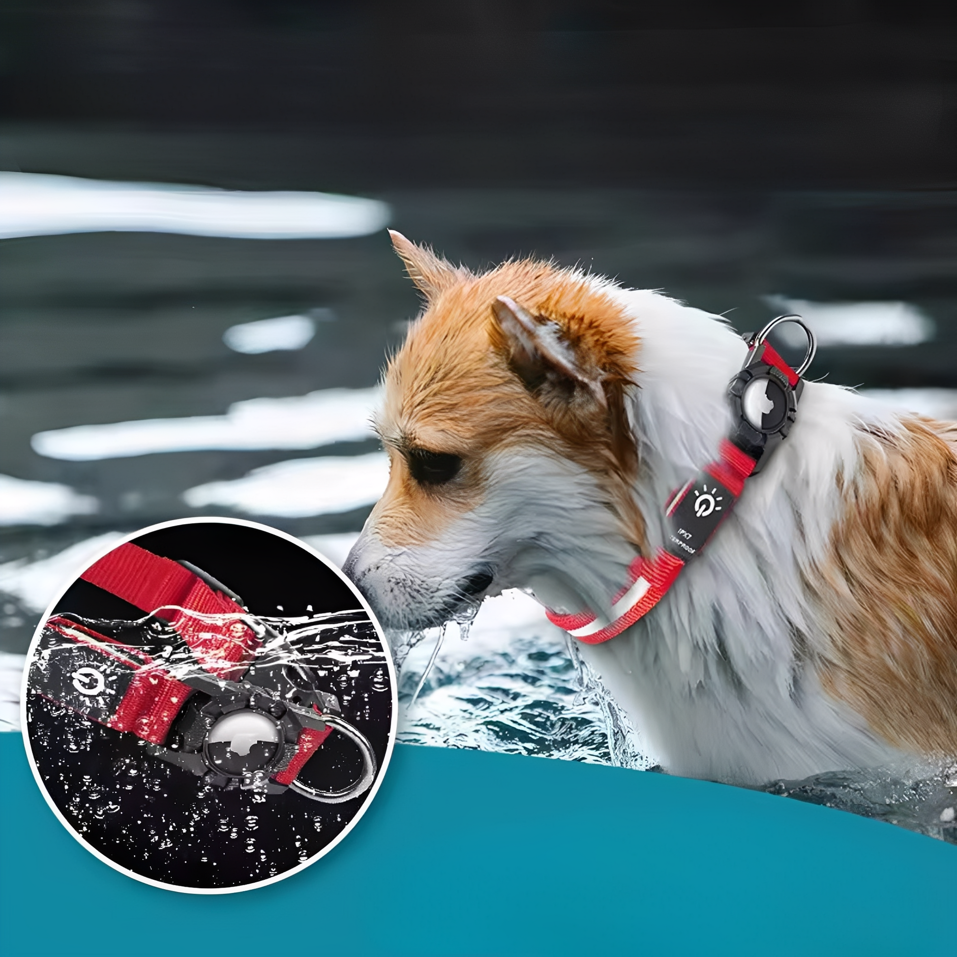 GlowTag - Waterdichte LED Dierenhalsband