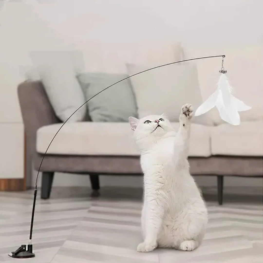 WhiskerRod - Verstelbare Hengel Kattenspeeltje