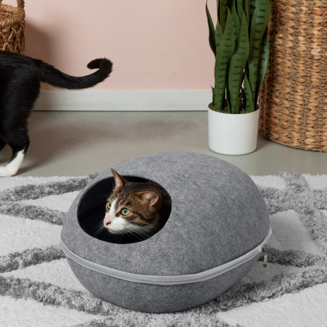 Cavina - Ruim Grot Kattenbed