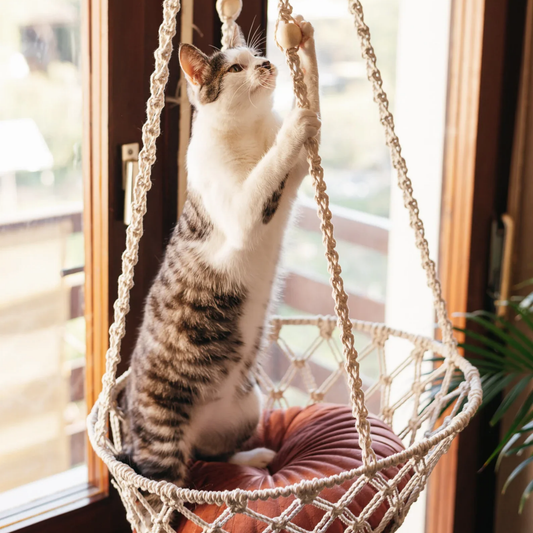 Boheema -  Bohemien Hangende Kattenhangmat
