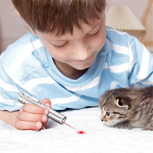 PurrLight - Interactieve Oplaadbare Kattenpointer