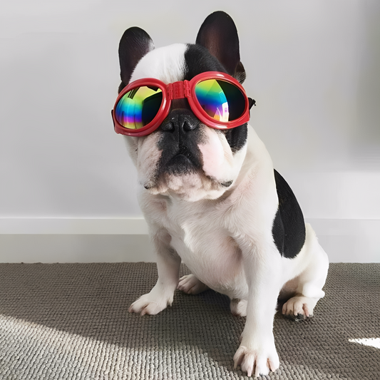 VisiPup - Spiegelende UV-Hondenbril