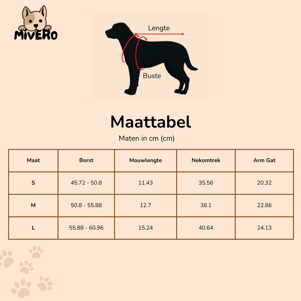 DunkinDog - Maak jouw hond een ster!