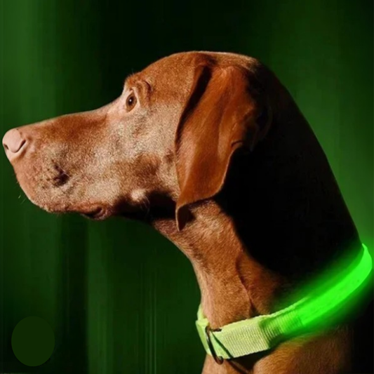 GlowPup - Oplaadbare LED Halsband