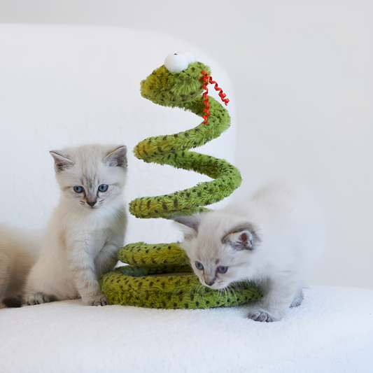 Pouncey - Interactief Slang Kattenspeelgoed