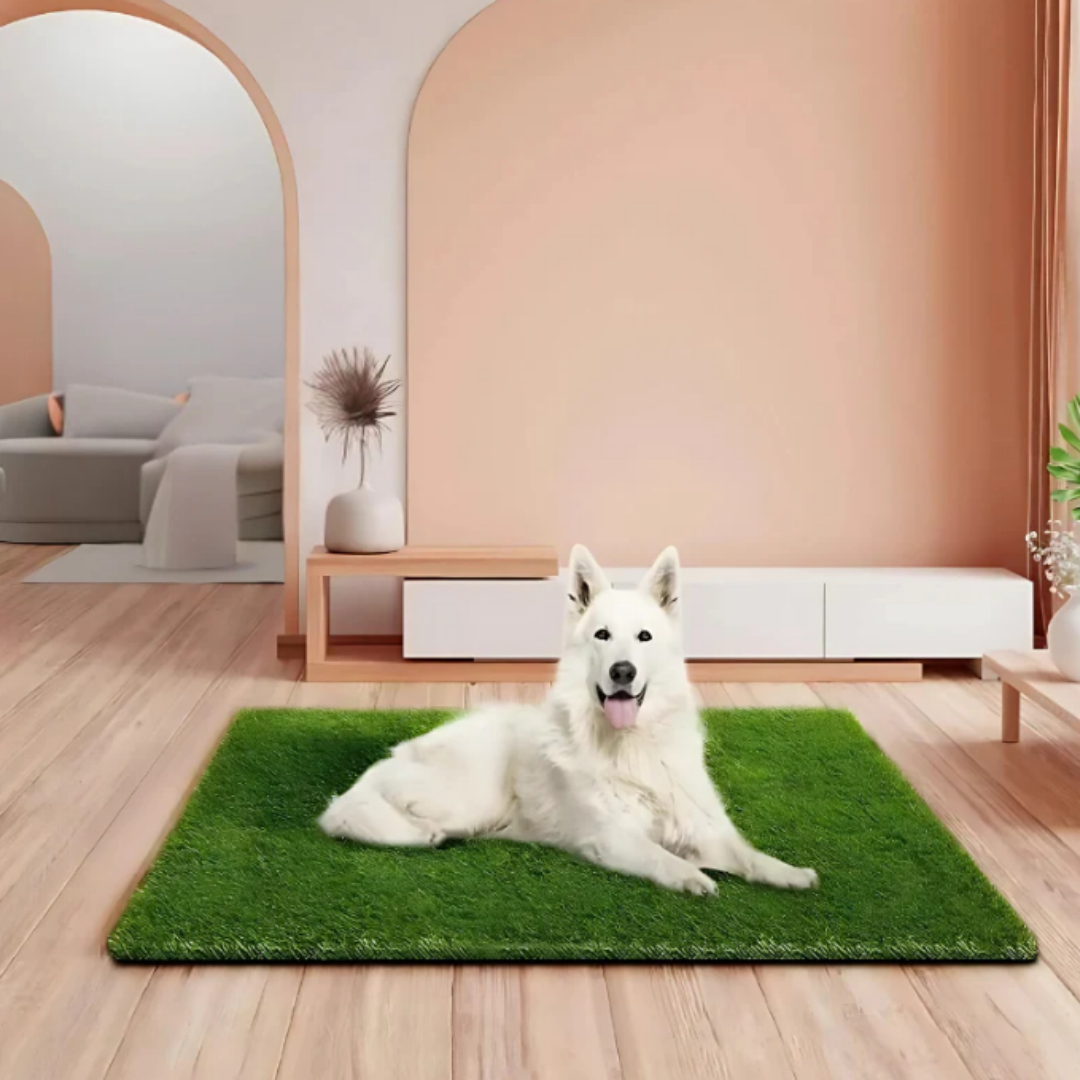 Zenvana - Grasachtige Toiletmat Huisdieren