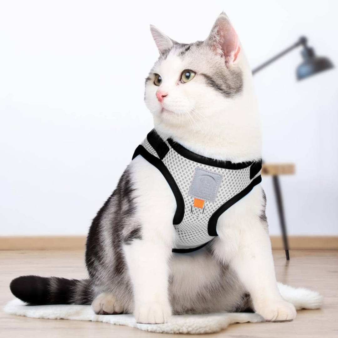 Purrtect -  Ontsnappingsvrij Reflecterend Kattenharnas